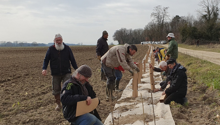 Ensemble plantons des haies dans la Vienne !